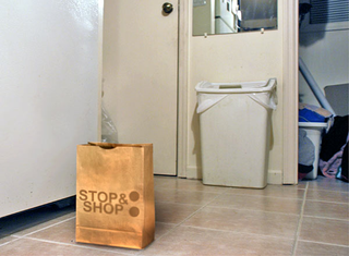 The disputed bag.
